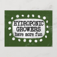 Cartão Postal Hidropônico Cultivadores Divertem-se