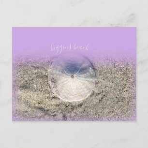 Cartão Postal Higgins Beach Moderno Maine Dólar de Areia Roxo Om
