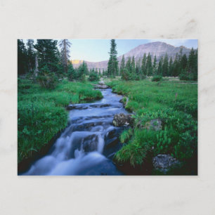 Cartão Postal HIGH UINTAS WILDERNESS, UTAH. Garfo de Água Estil