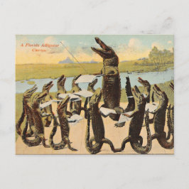 Cartão postal hilário do Coro do Gator da Flórida
