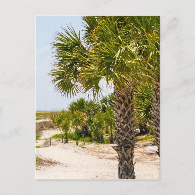 Cartão Postal hilton head georgia Beach e ocean "South Beach" (Frente)