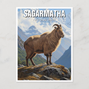 Cartão Postal Himalayan tahr no Parque Nacional de Sagarmatha no