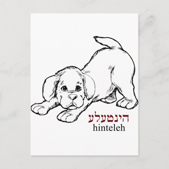 Cartão Postal "Hinteleh"-cachorrinho (Frente)
