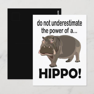 Cartão Postal Hipopótamo Animal Divertido Hipopótamo 