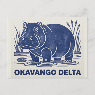 Cartão Postal Hipopótamo no Delta do Okavango Botsuana