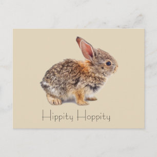 Cartão Postal Hippity Hoppity Cottontail Rabbit