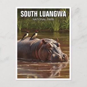 Cartão Postal Hippo no Parque Nacional de Luangwa do Sul Zâmbia