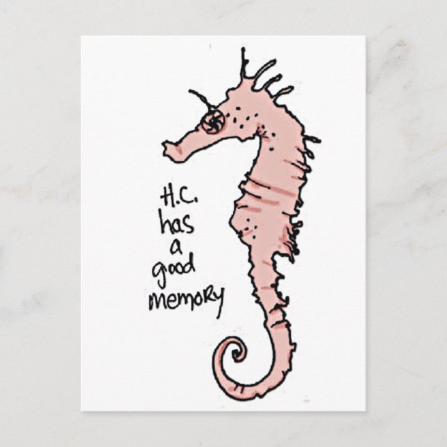 Cartão Postal Hippocampus (Frente)