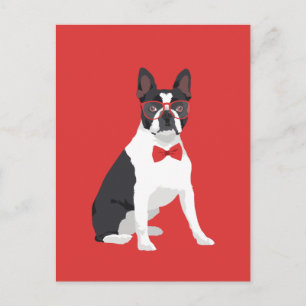 Cartão Postal Hipster Boston Terrier com óculos vermelhos e pres