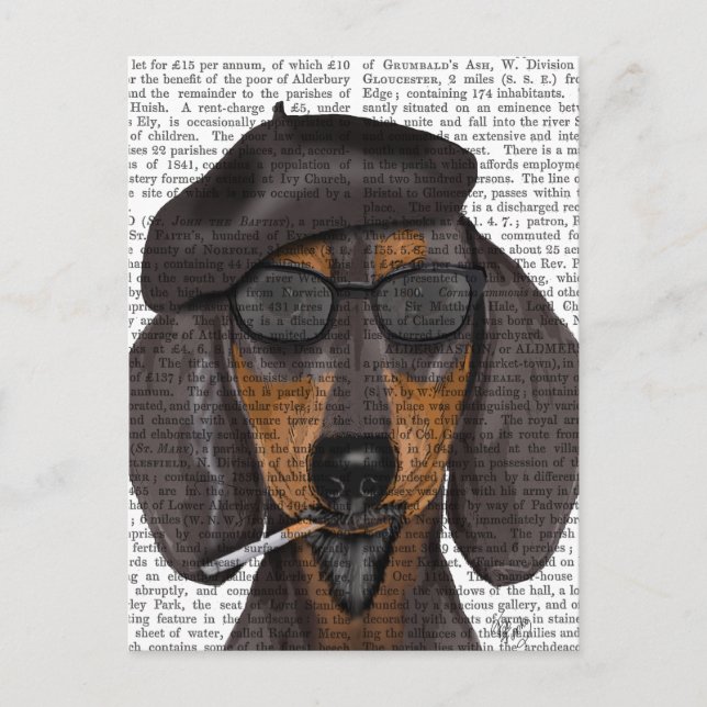 Cartão Postal Hipster Dachshund Black e Tan (Frente)