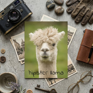 Cartão Postal Hipster Lama Funny Hairdo