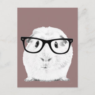 Cartão Postal Hipster Pigster