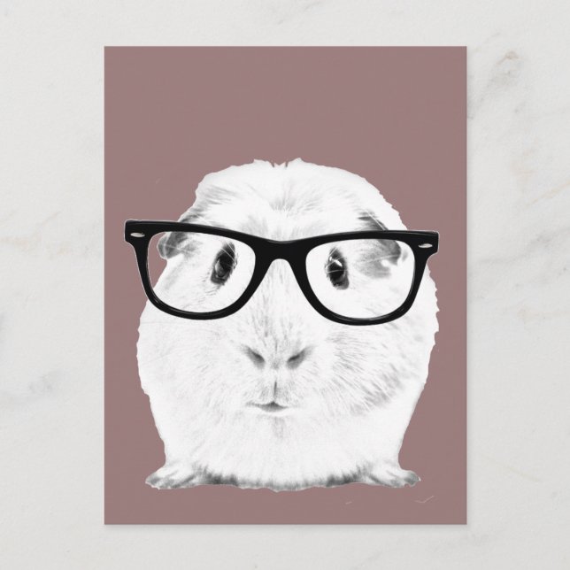 Cartão Postal Hipster Pigster (Frente)
