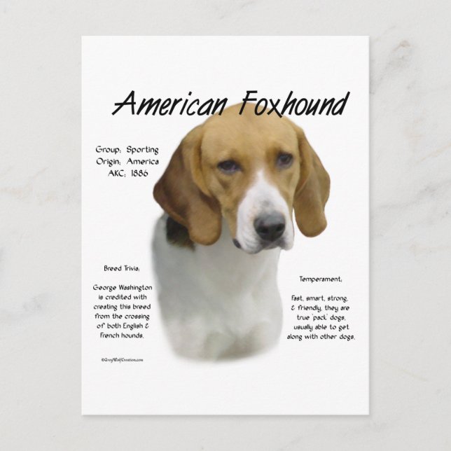 Cartão Postal História Americana De Foxhound, Tudo Sobre Foxhoun (Frente)