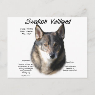 Cartão Postal História do Vallhund Sueco
