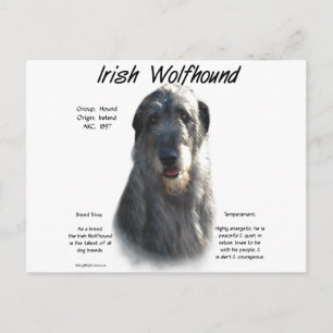 Cartão Postal História do Wolfhound Irlandês da cinza