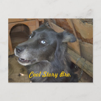 Cartão Postal História legal Bro