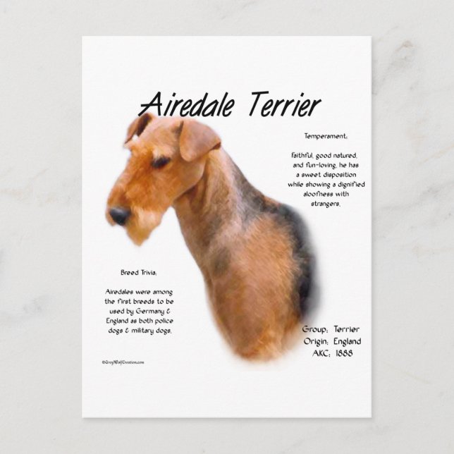 Cartão Postal Histórico de Terrier Airedale (Frente)