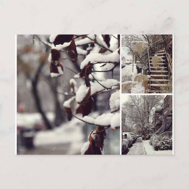 Cartão Postal Hiver (Frente)