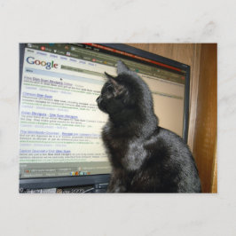 Cartão Postal Hmmmmmm....