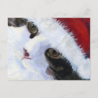 Ho Ho Kitty Cat