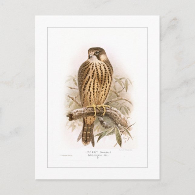 Cartão Postal Hobby (Frente)