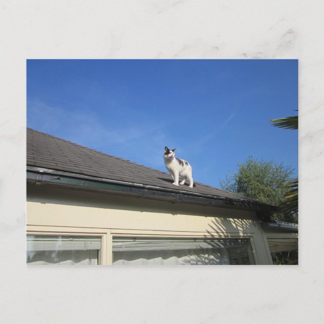 Cartão Postal Hoch hinaus (Frente)