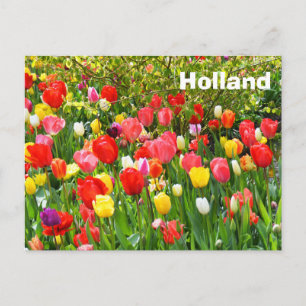 Cartão Postal Holanda