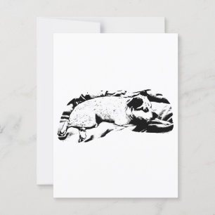 Cartão Postal Holiday Hello da Bed and Blanket