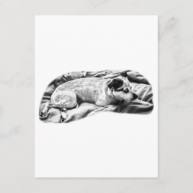 Cartão Postal Holiday Hello da Bed and Blanket (Frente)