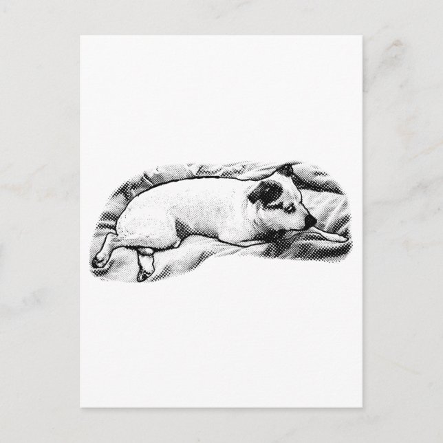 Cartão Postal Holiday Hello de Blanket e Buddy (Frente)