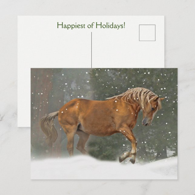 Cartão Postal Holiday Horse in Snow (Frente/Verso)
