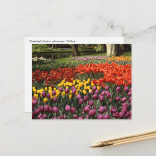Cartão Postal Holland Keukenhof