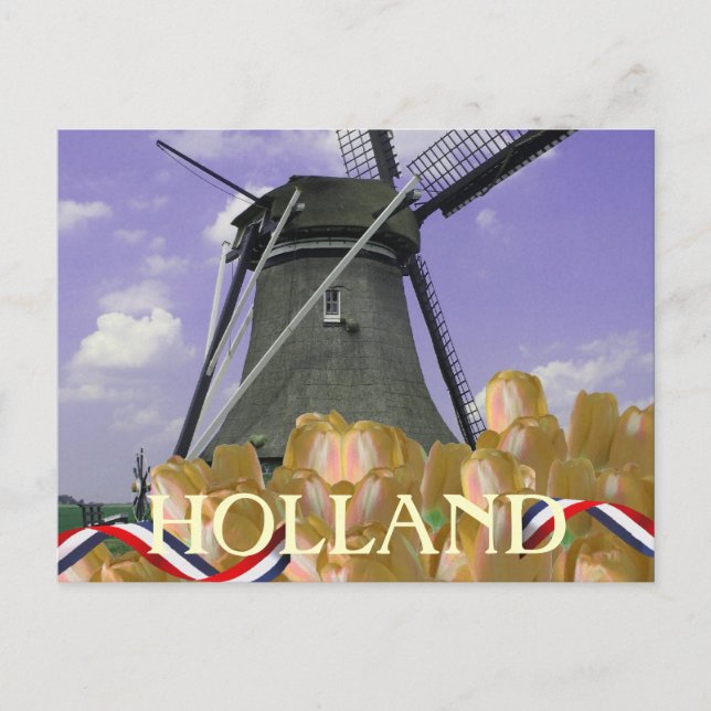 Cartão postal Holland Windmill Orange Tulips (Frente)
