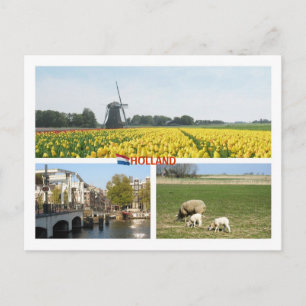 Cartão Postal Holland Windmill Tulips Amsterdam Paisagem Holande