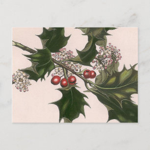 Cartão Postal holly berrie