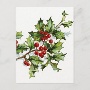 Cartão Postal Holly Berries 001