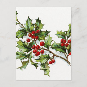 Cartão Postal Holly Berries 002