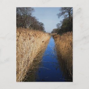 Cartão Postal Holme Fen Dyke