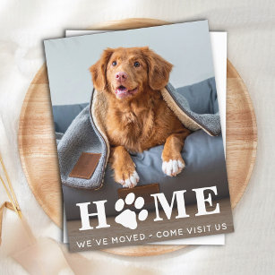 Cartão Postal Home Dog Moving (Movimentação do Cachorro Doméstic