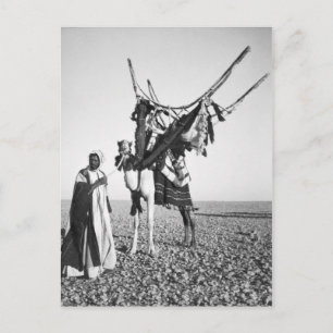 Cartão Postal Homem beduíno e camelo, Síria