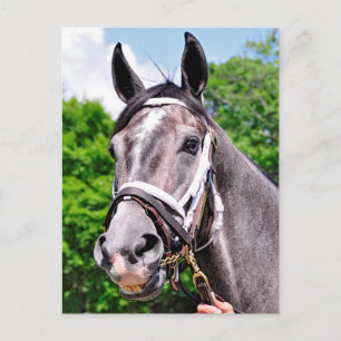 Cartão Postal Homem de um rei