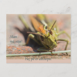 Cartão Postal Homem Må säja! Gräshoppa med personlighet CC0775