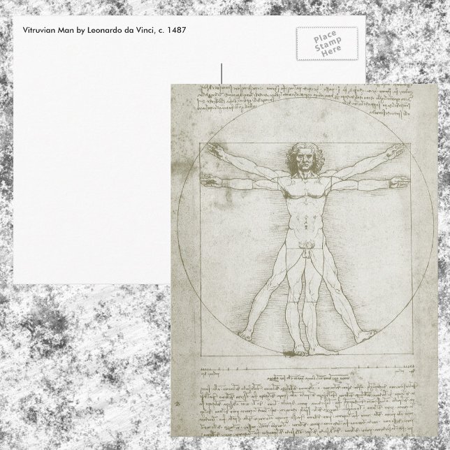 Cartão Postal Homem Vitruviano por Leonardo da Vinci (Criador carregado)