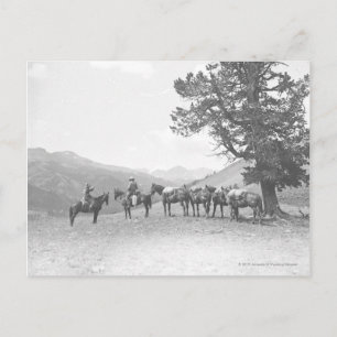 Cartão Postal Homens com cavalos de embalagem olhando sobre a co