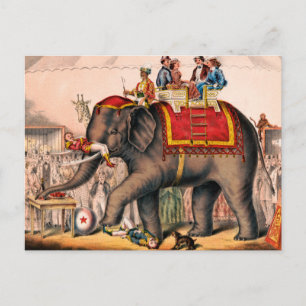 Cartão Postal Homens Executando Um Ato De Circo Com Um Elefante.