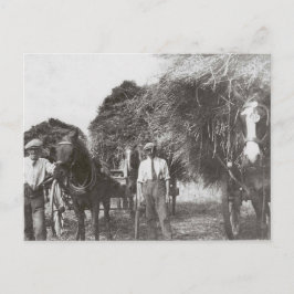 Cartão Postal Homens no Trabalho - Preto e Branco - Cartão-posta