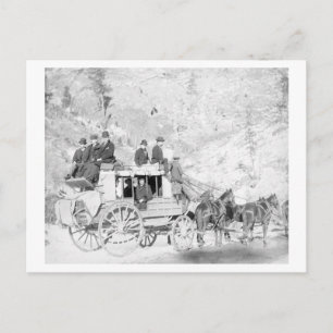 Cartão Postal Homens sentados em uma fotografia de "treinador de