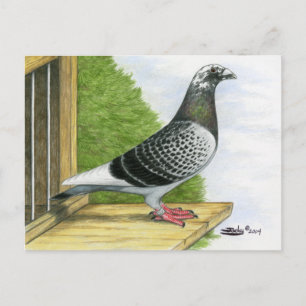 Cartão Postal Homer de corrida no Conselho de aterrissagem