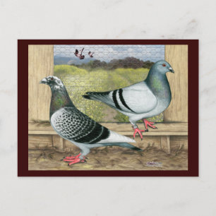 Cartão Postal Homers de Corrida em Loft